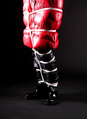 Shiny Nylon Arts Bound xxx photo collection featuring graceful gal xxx gallery 264567